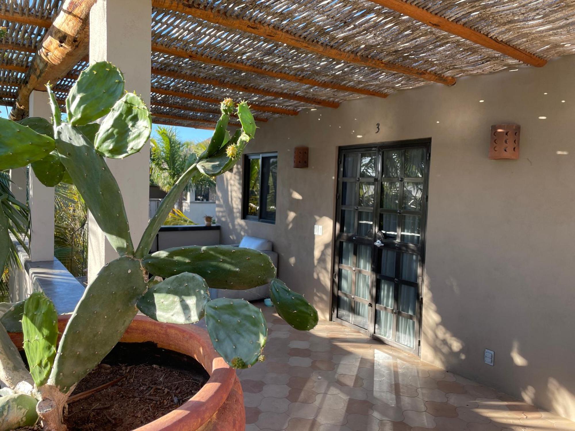 Pure Baja Private Suites-Upscale Property With Infinity Pool And Lush Gardens El Pescadero  Esterno foto